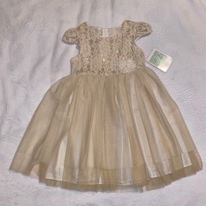 Beautiful shimmery dress